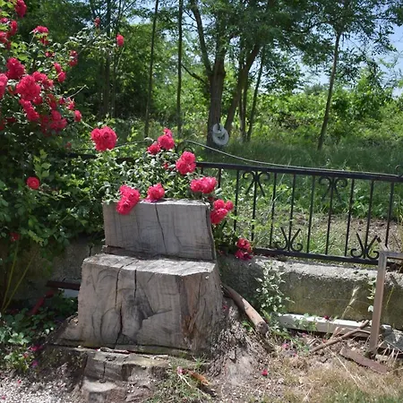 Costa Dei Trabocchi פוסאצ'סיה